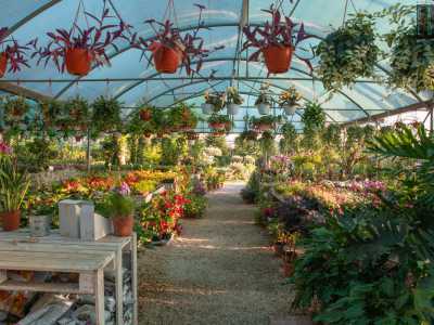 �Abbiamo portato un po� di Olanda a Bari, installando un parco colmo di tulipani tra i quali passeggiare e rilassarsi�, dice Tina mentre ci conduce nella serra...
